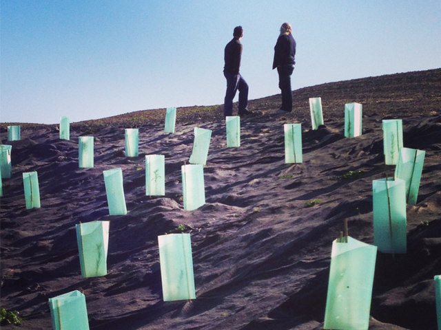 Two Great Brands Become One | Sure Gro 1 | ODS